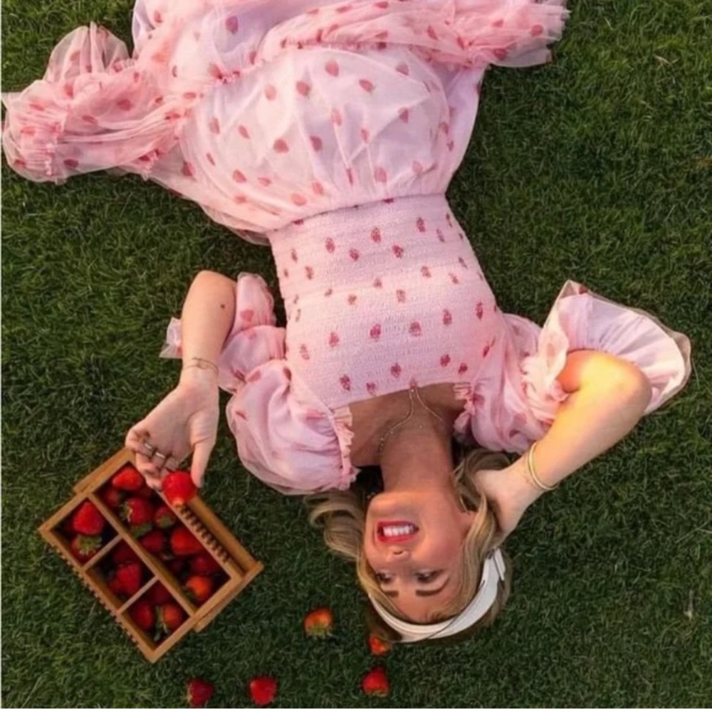 Ivy City Co Jess Dress in Pink Strawberry Fields - Picture 4 of 11